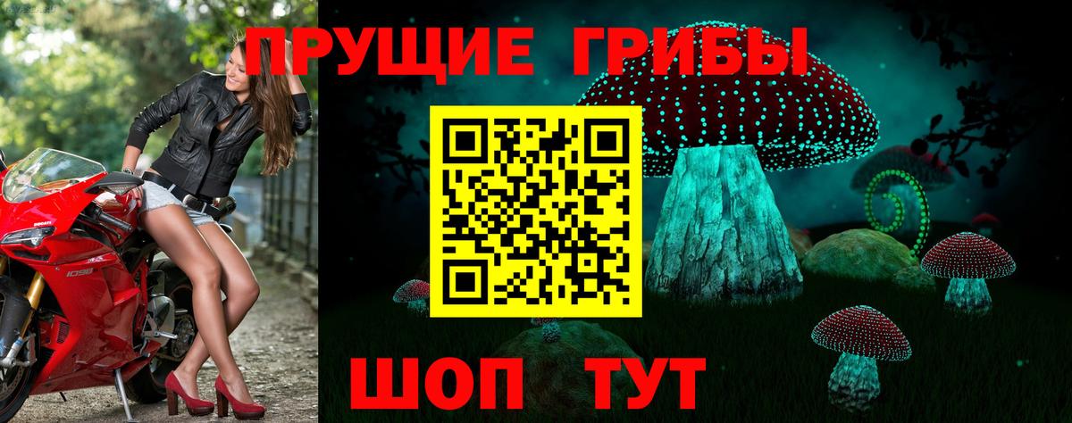 Галлюциногенные грибы MAGIC MUSHROOMS Курчатов